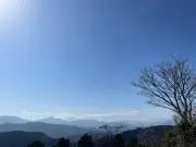 shopjjの画像