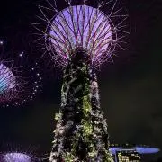 tuboの画像