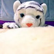 えみりの画像