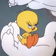 PON