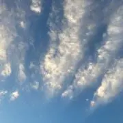 koyukiの画像