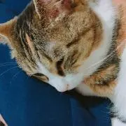 か(値下げ交渉⭕️)の画像