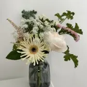 パンジーの画像