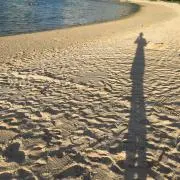 y1212の画像