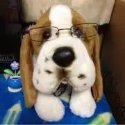 ヤオ