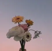 七瀬の画像