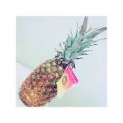あちゃさんの画像