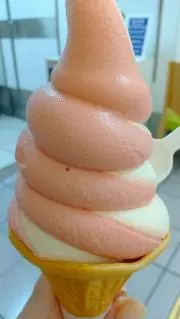Ptomoの画像