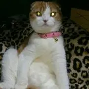 和春ママ