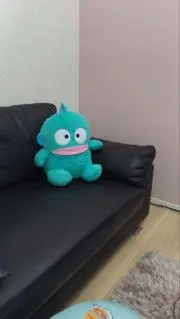 晃