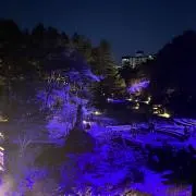 羽衣の画像