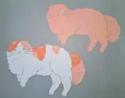 tacopa888の画像