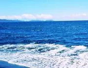 なつの画像