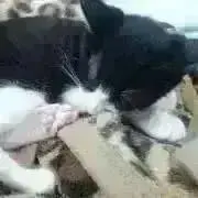 K♡プロフ必読♡の画像