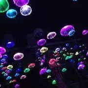 keiyanの画像