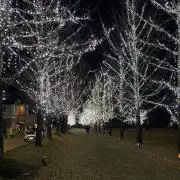 kkkの画像