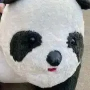 まちこの画像
