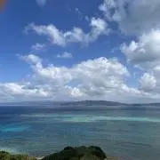 さくらの画像