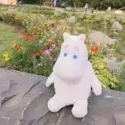 やまこの画像