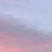 餅っちーの画像