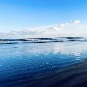 いゆもの画像