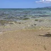 ぎょうざ