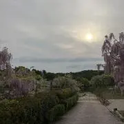 りーぬの画像