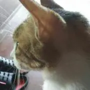 星の導き プロフ読んで下さい