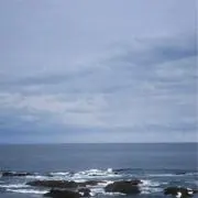 まさの画像