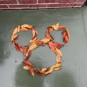 ちょこの画像
