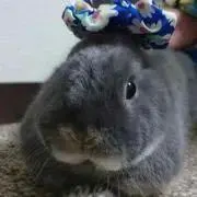 みぃたん。の画像