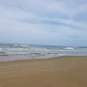 ひろぽんの画像