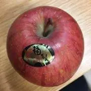チッチ