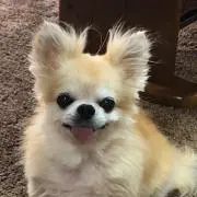 みきの画像