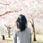 りんごの画像