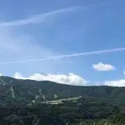 こむぎの画像