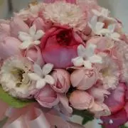 みぽち