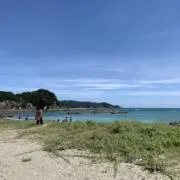 nomの画像