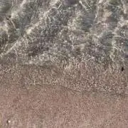 ____ra2430の画像