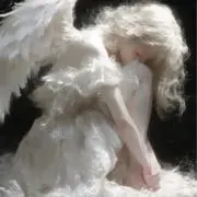 ララの画像