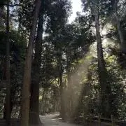 ハルク