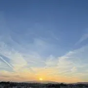 monaの画像