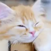 HARU⭐︎の画像