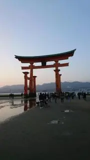 roarの画像