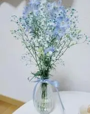 ルル