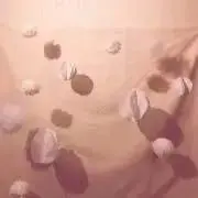 AKKAの画像