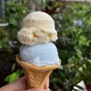 りんりんの画像