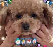 まろん
