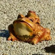 海谷❍即日発送可の画像