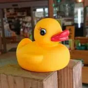 なつめん。の画像